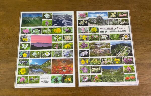 待望のお花グッズが出ました！